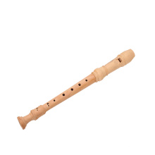 Desarrollo de la primera infancia kindergarten aprender a tocar instrumentos musicales feliz flauta de madera